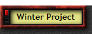 Winter Project